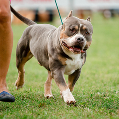 ОО КЛЖ "ХОББИ"