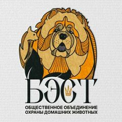 ОООДЖ "БЭСТ"