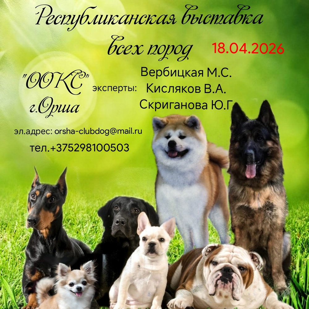 Республиканская выставка всех пород