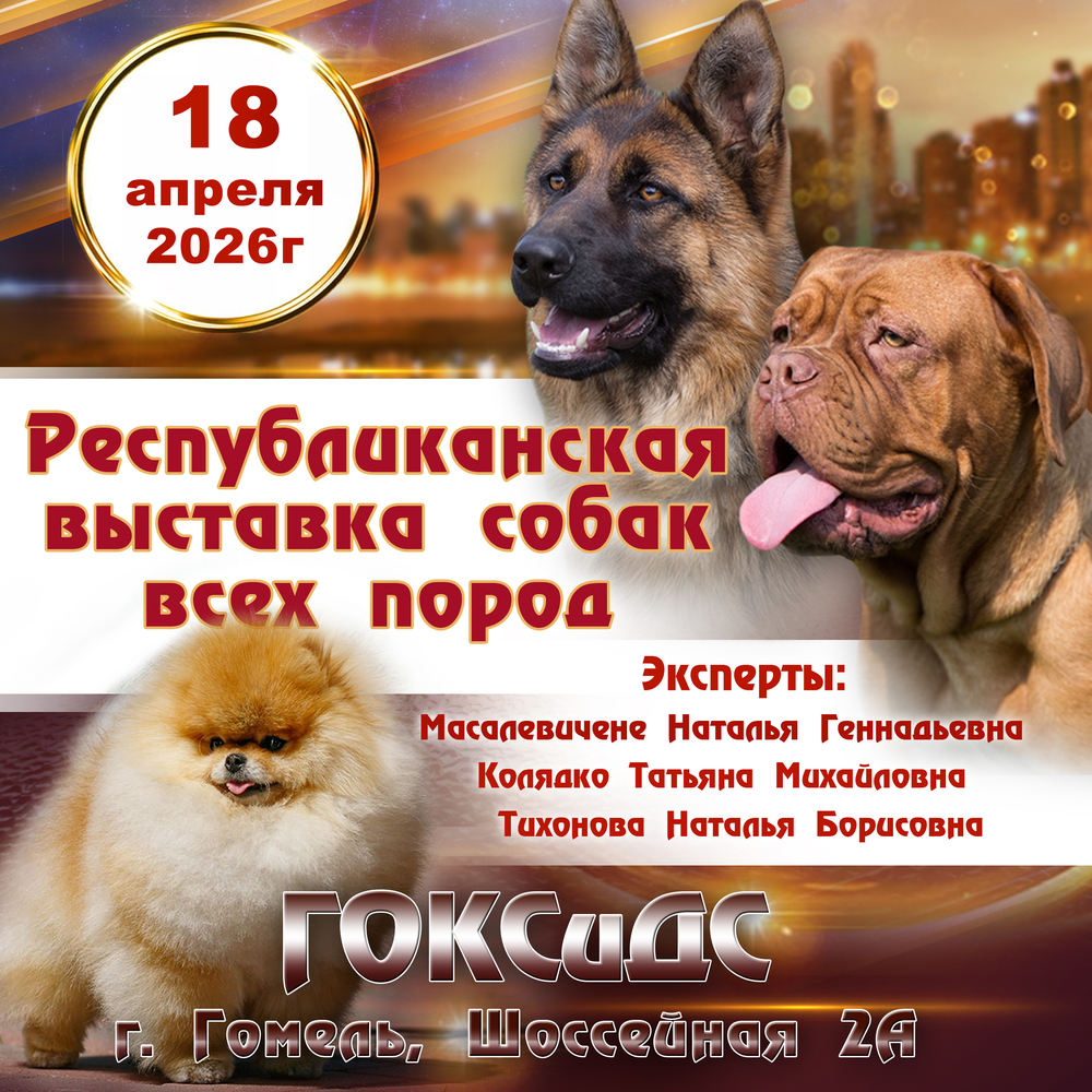 Республиканская выставка собак всех пород