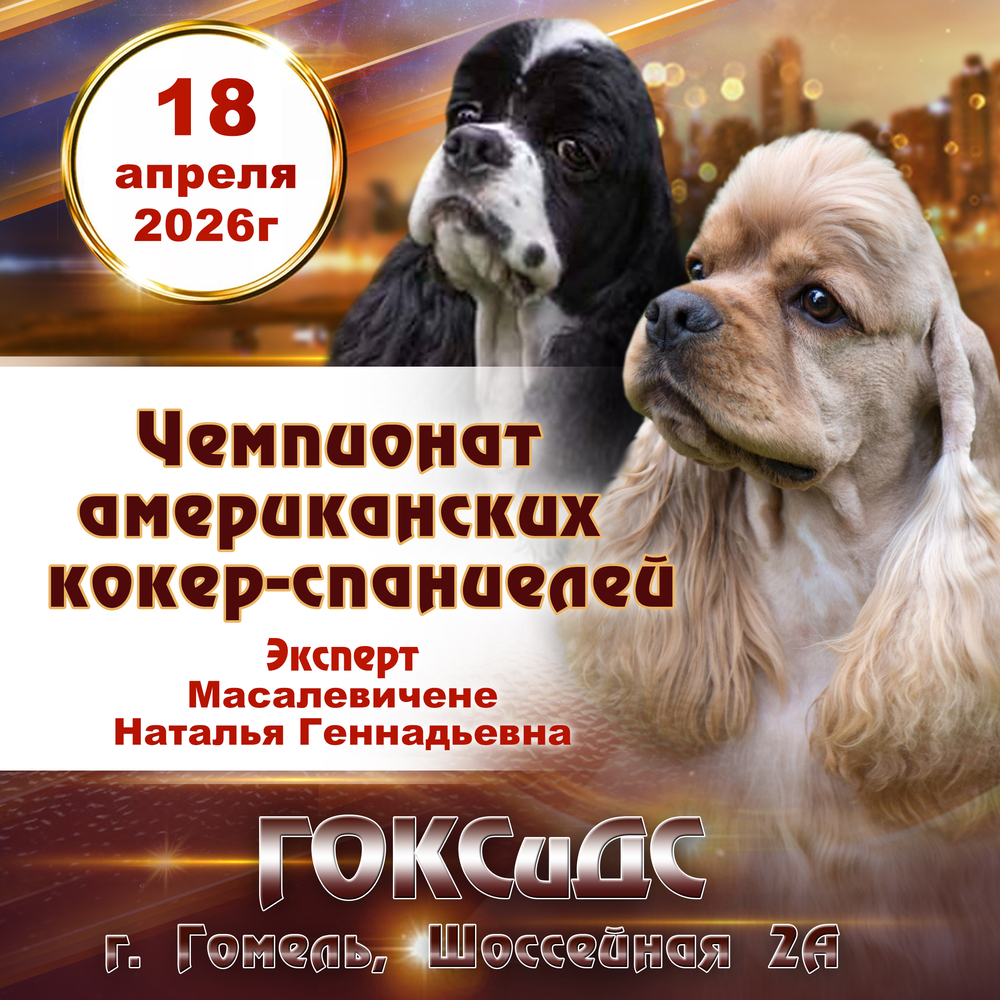 Чемпионат Американских кокер-спаниелей