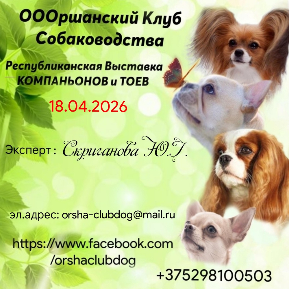 Республиканская выставка компаньонов и тоев