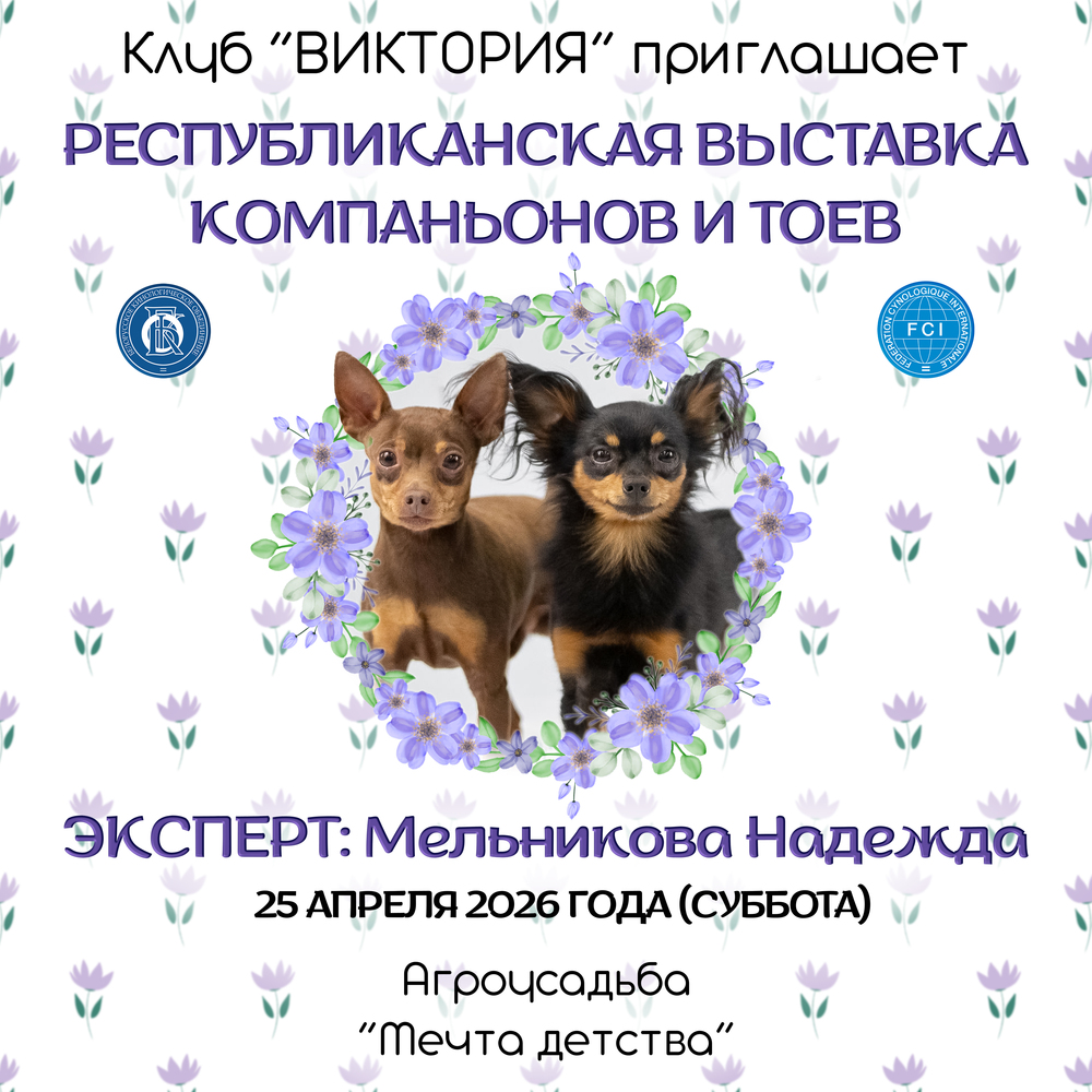 Республиканская выставка компаньонов и тоев