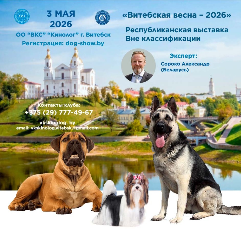 Республиканская выставка Вне классификации