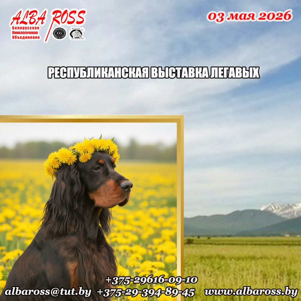 Республиканская выставка легавых