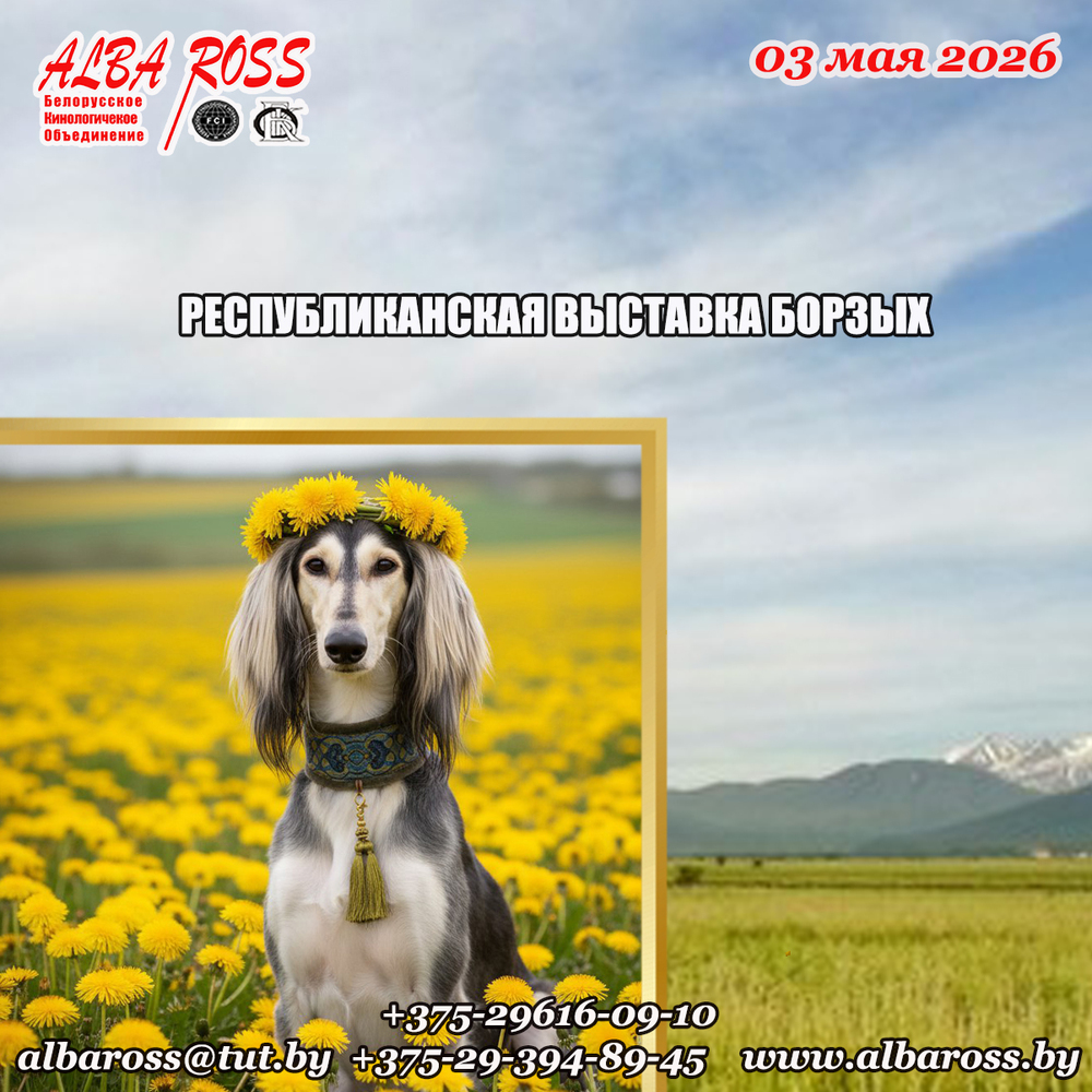 Республиканская выставка борзых