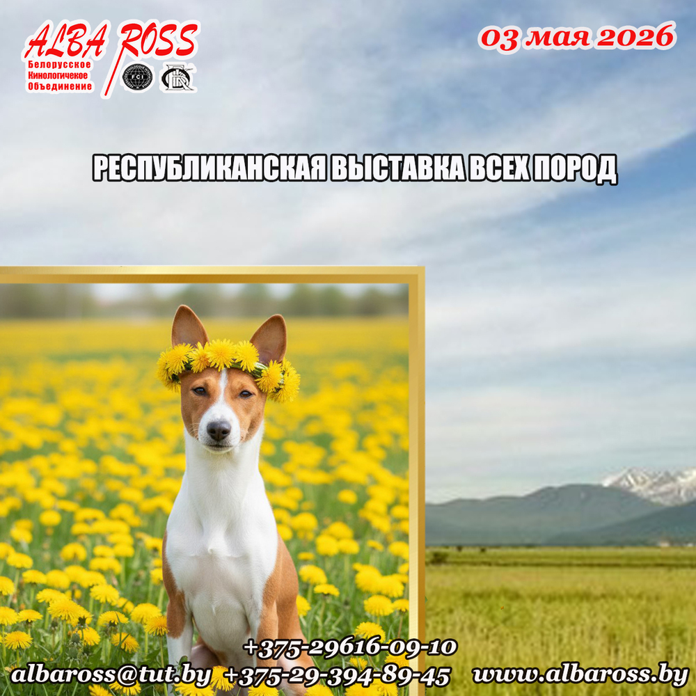 Республиканская выставка собак всех пород «Семья и собака -2026»