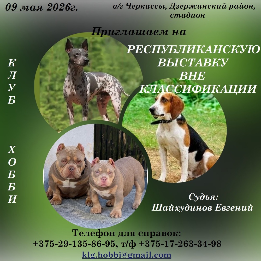 Республиканская выставка Вне классификации