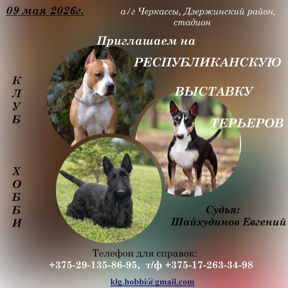 Республиканская выставка терьеров