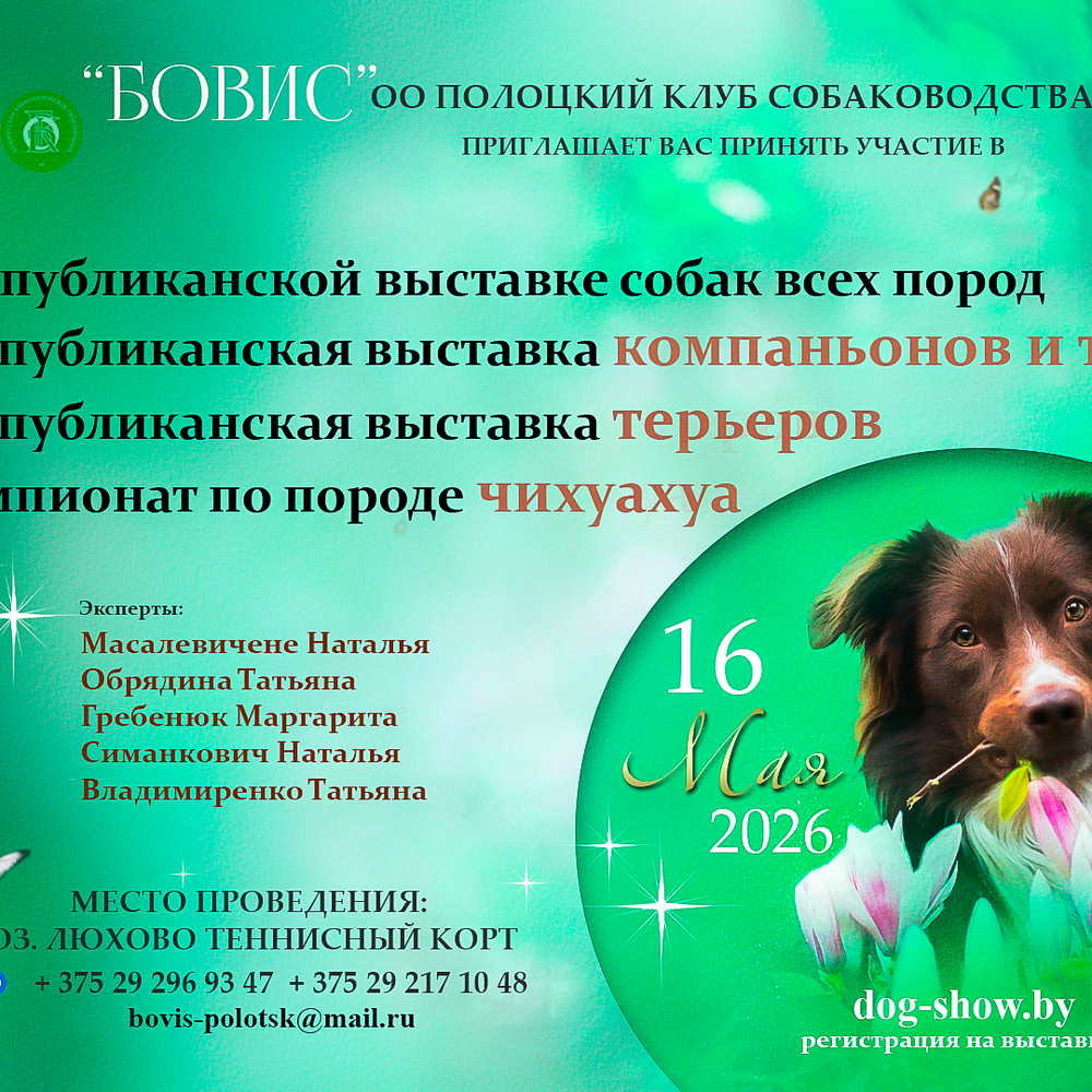 Республиканская выставка собак всех пород