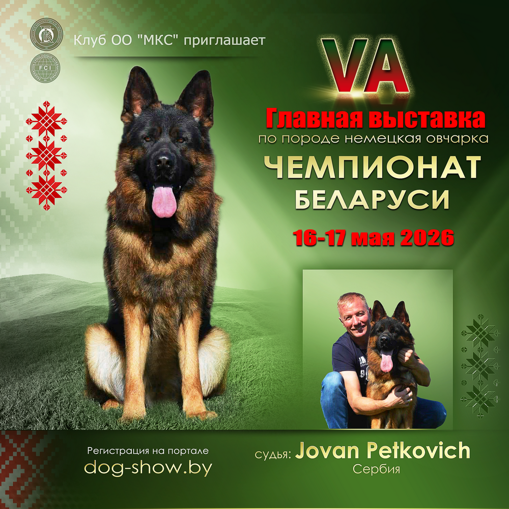 Чемпионат Беларуси по породе немецкая овчарка (VA) 16-