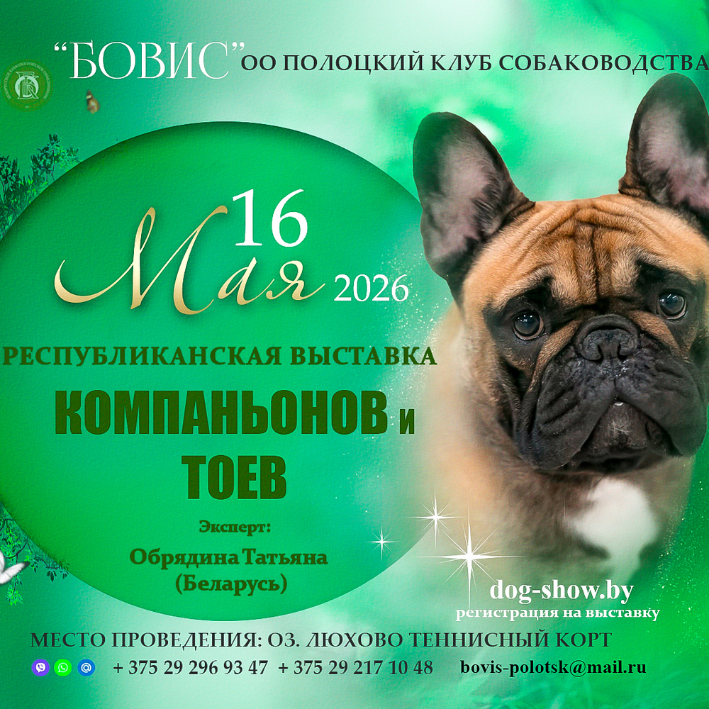 Республиканская вставка компаньонов и тоев