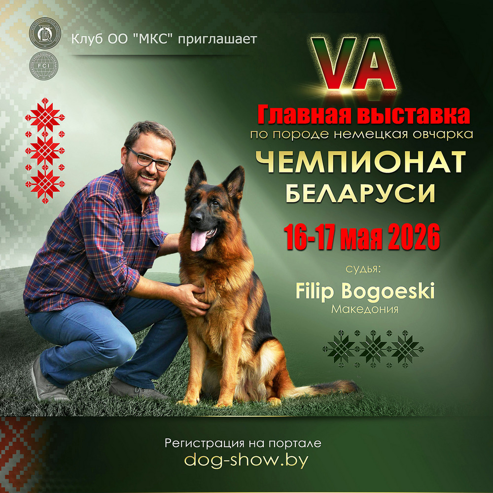 Чемпионат Беларуси по породе немецкая овчарка (VA)