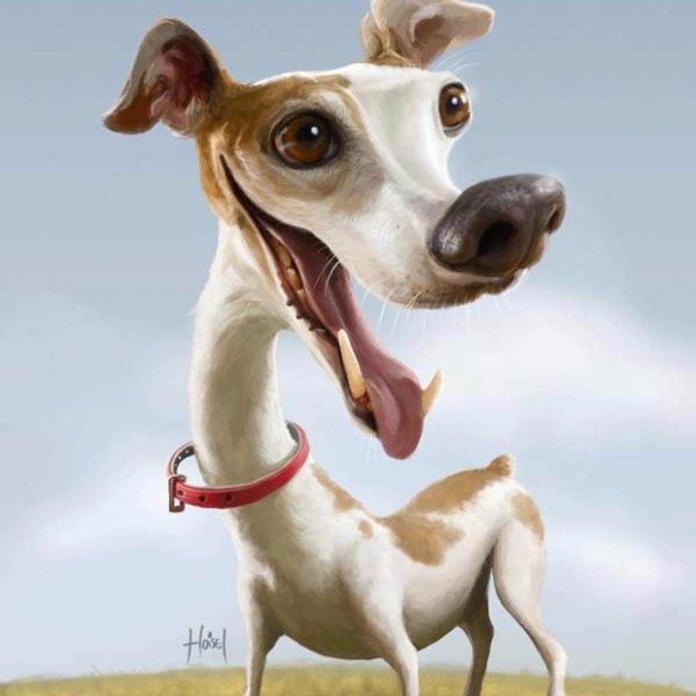 Республиканская выставка собак всех пород