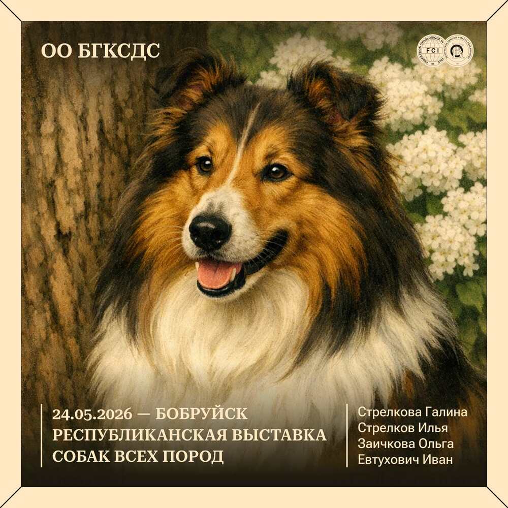 Республиканская выставка собак всех пород