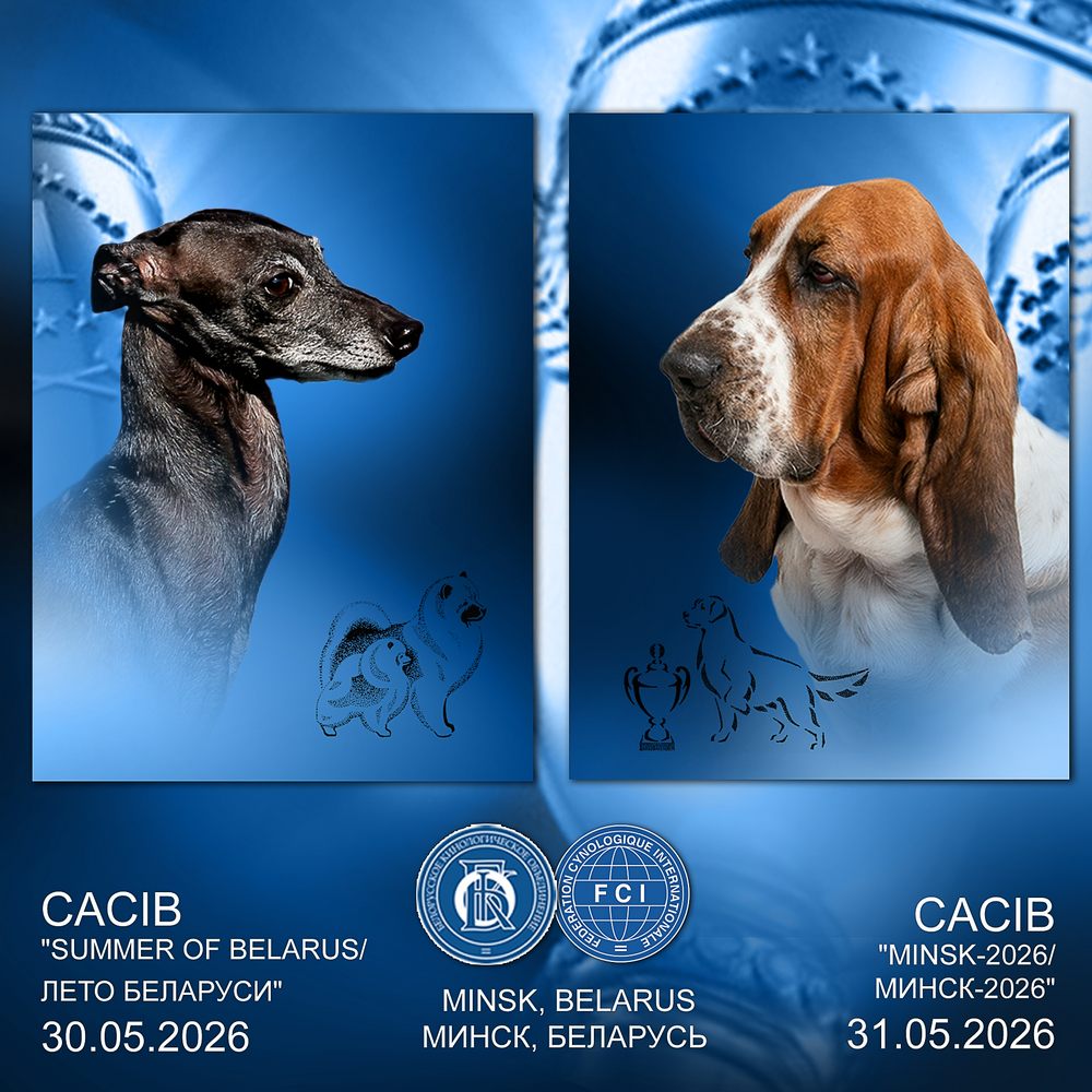 Международная выставка собак (CACIB)