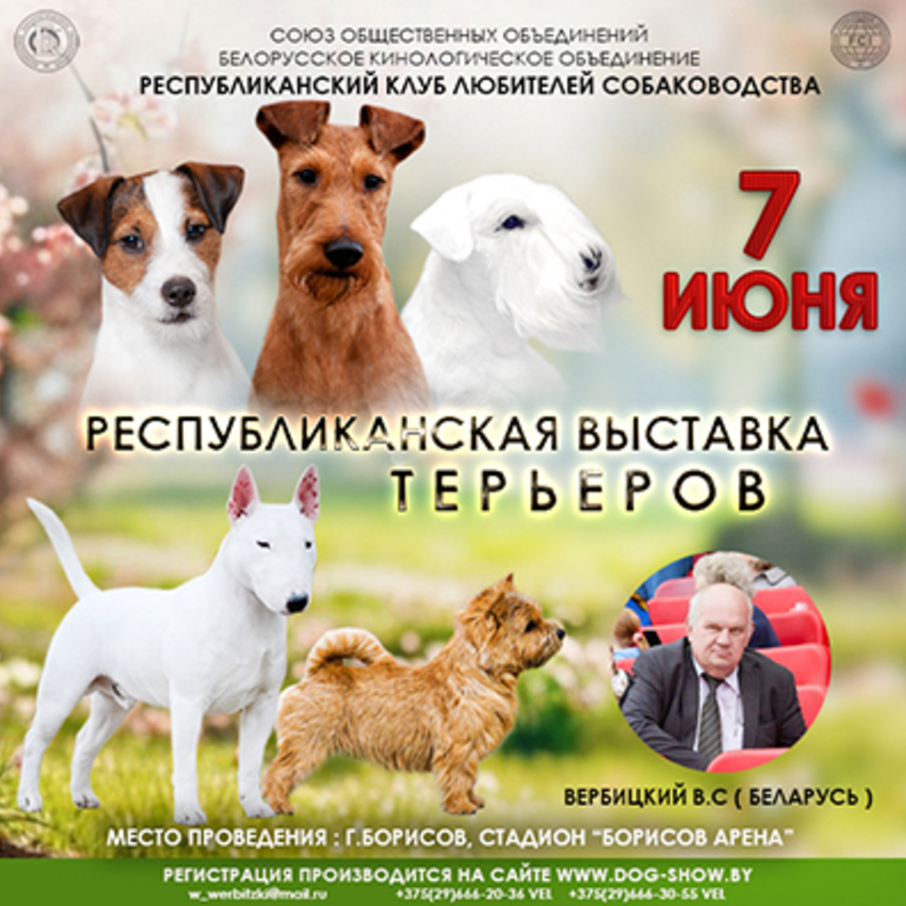 Республиканская выставка терьеров