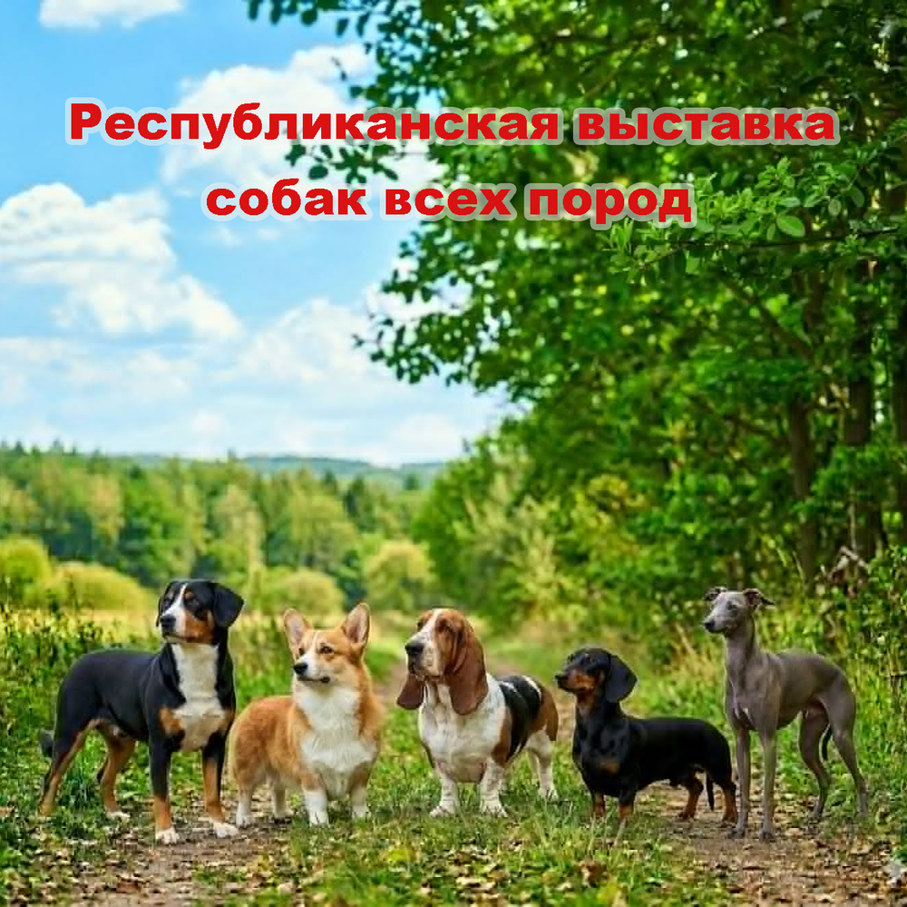 Республиканская выставка собак всех пород