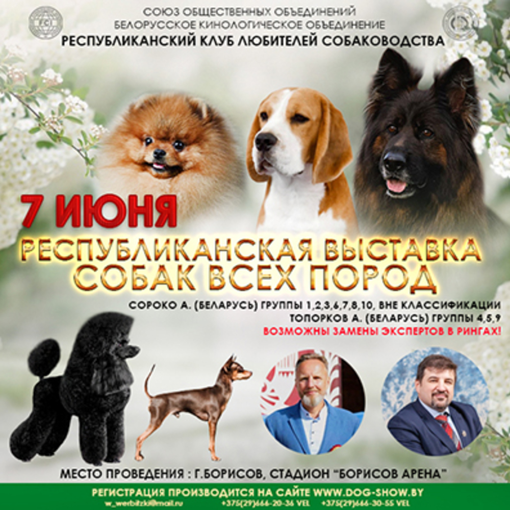 Республиканская выставка собак всех пород
