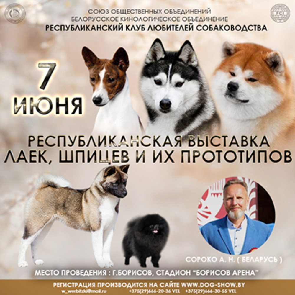Республиканская выставка  шпицев и их примитивных типов