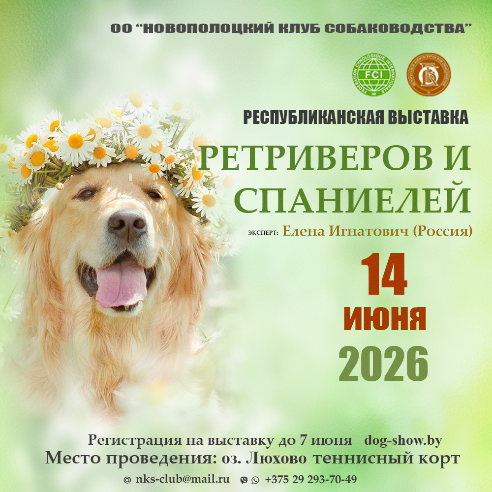 Республиканская выставка ретриверов и спаниелей