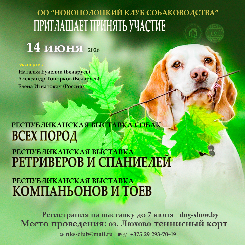 РЕСПУБЛИКАНСКАЯ ВЫСТАВКА СОБАК ВСЕХ ПОРОД