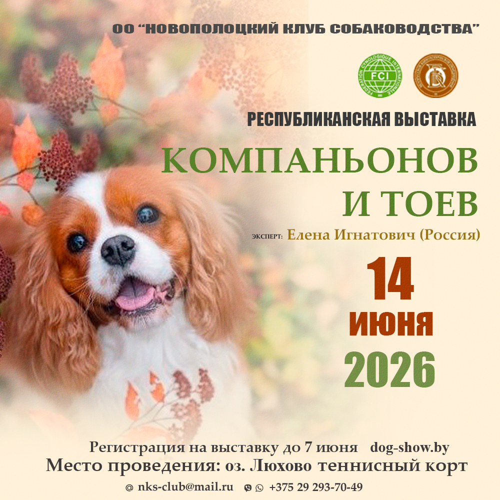 Республиканская выставка компаньонов и тоев