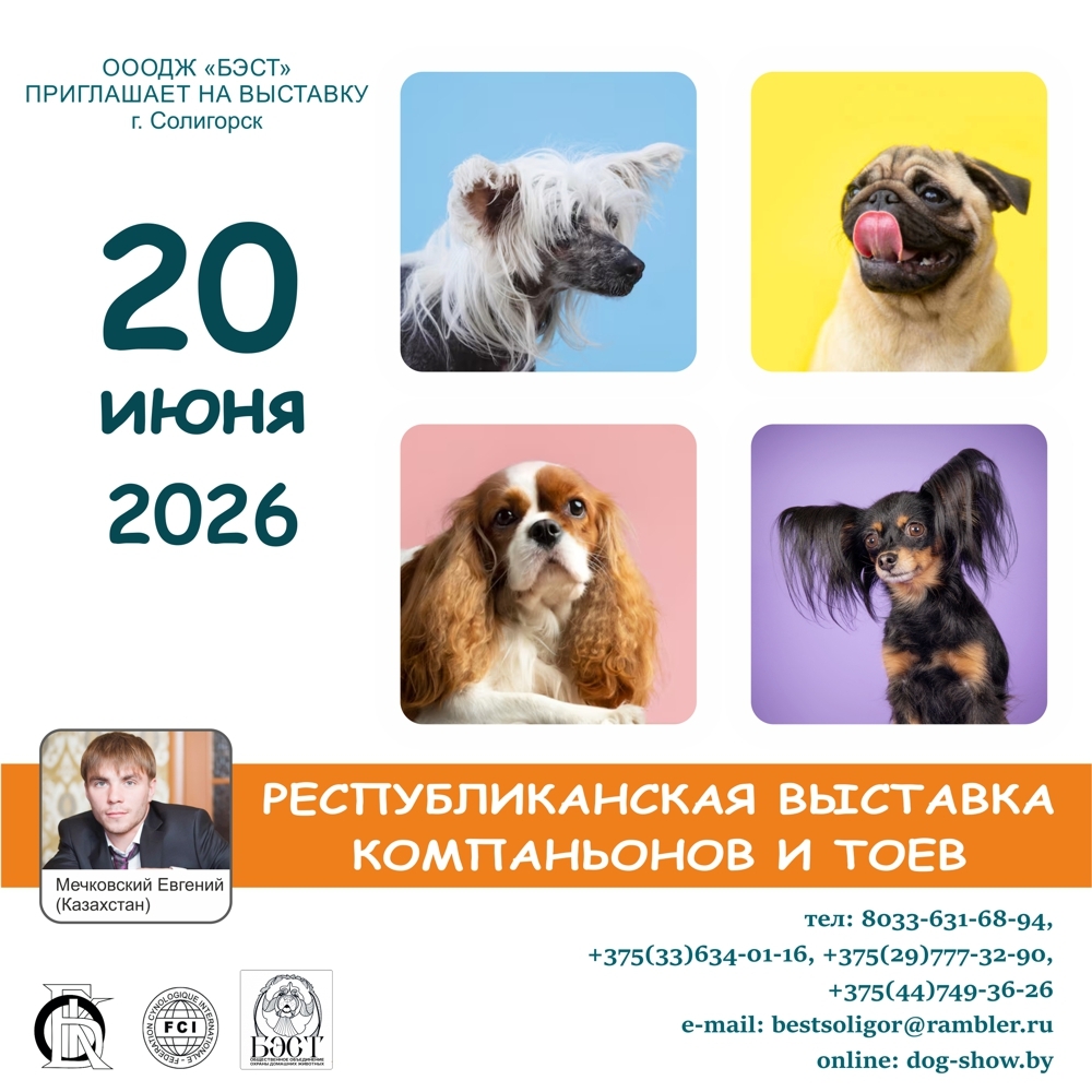 Республиканская выставка компаньонов и тоев