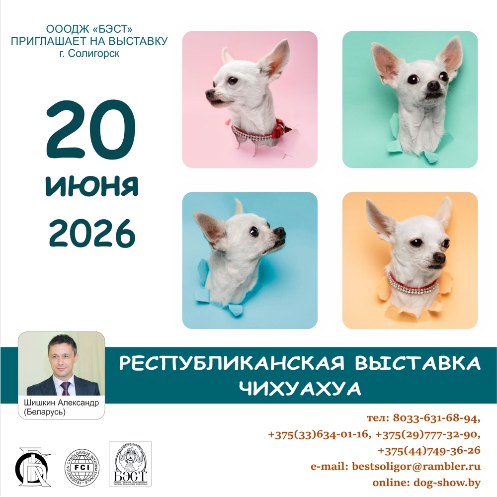 Республиканская выставка чихуахуа