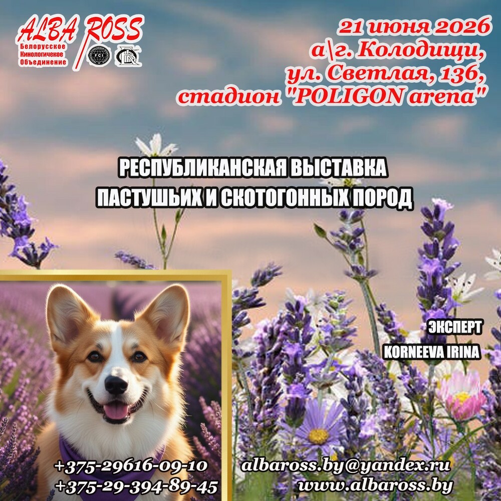 Республиканская выставка пастушьих и скотогонных пород