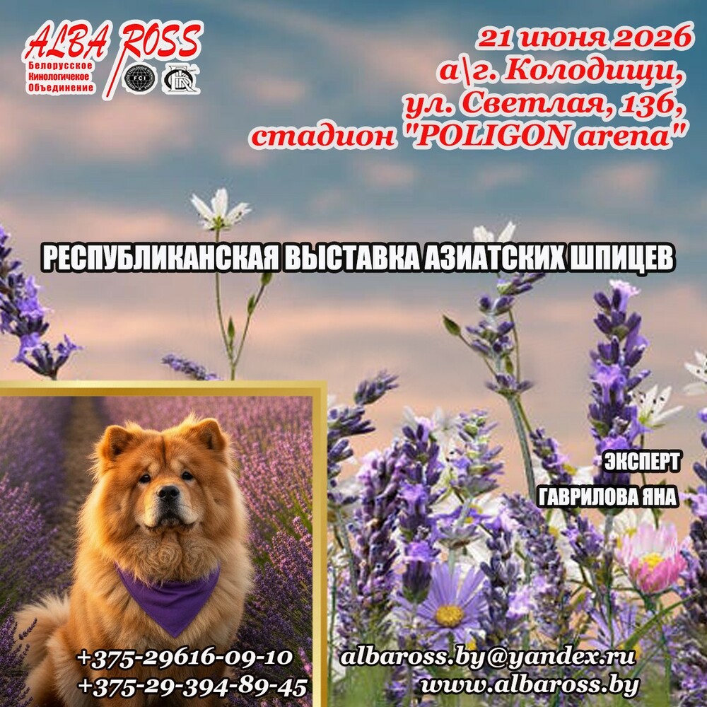 Республиканская выставка азиатских шпицев