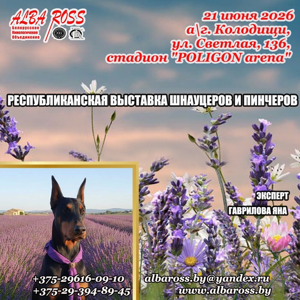 Республиканская выставка шнауцеров и пинчеров