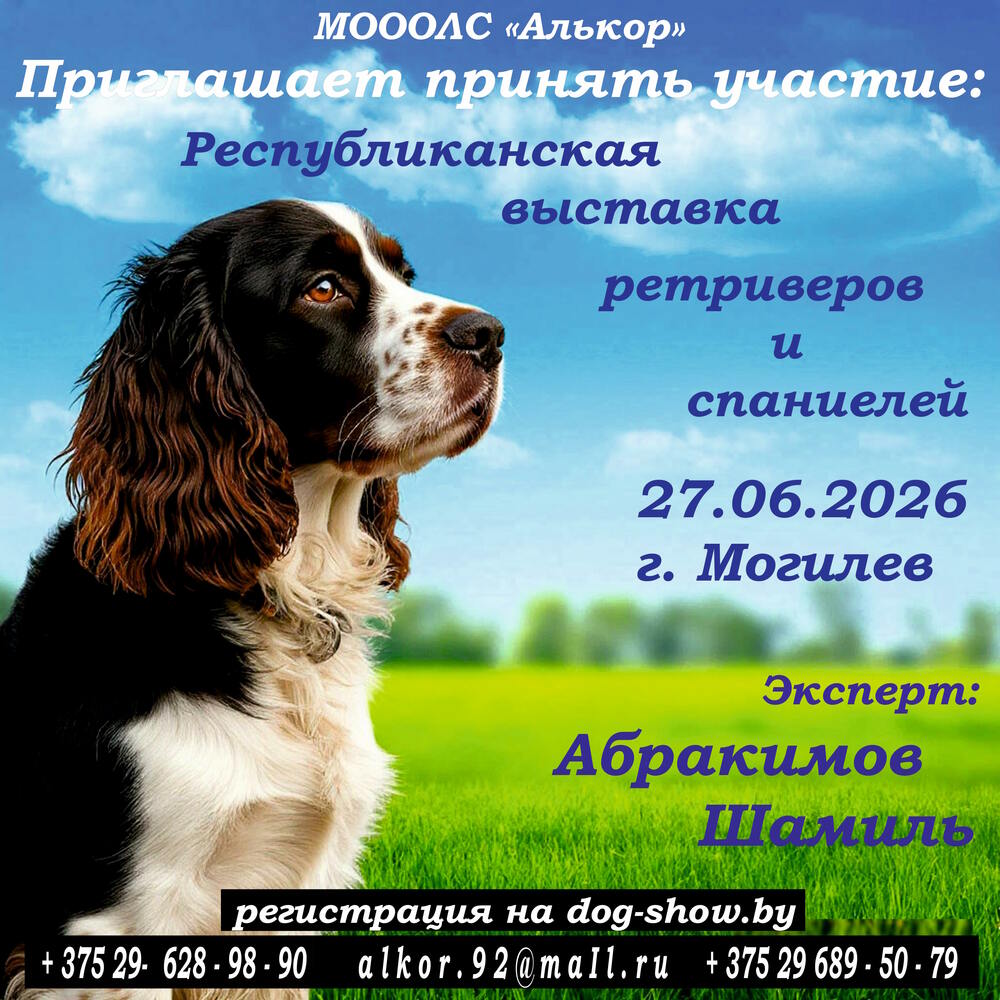 Республиканская выставка ретриверов и спаниелей