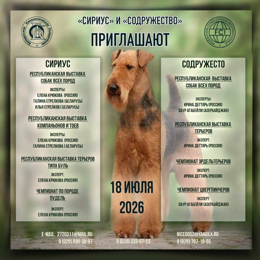 Чемпионат по породе Эрдельтерьер
