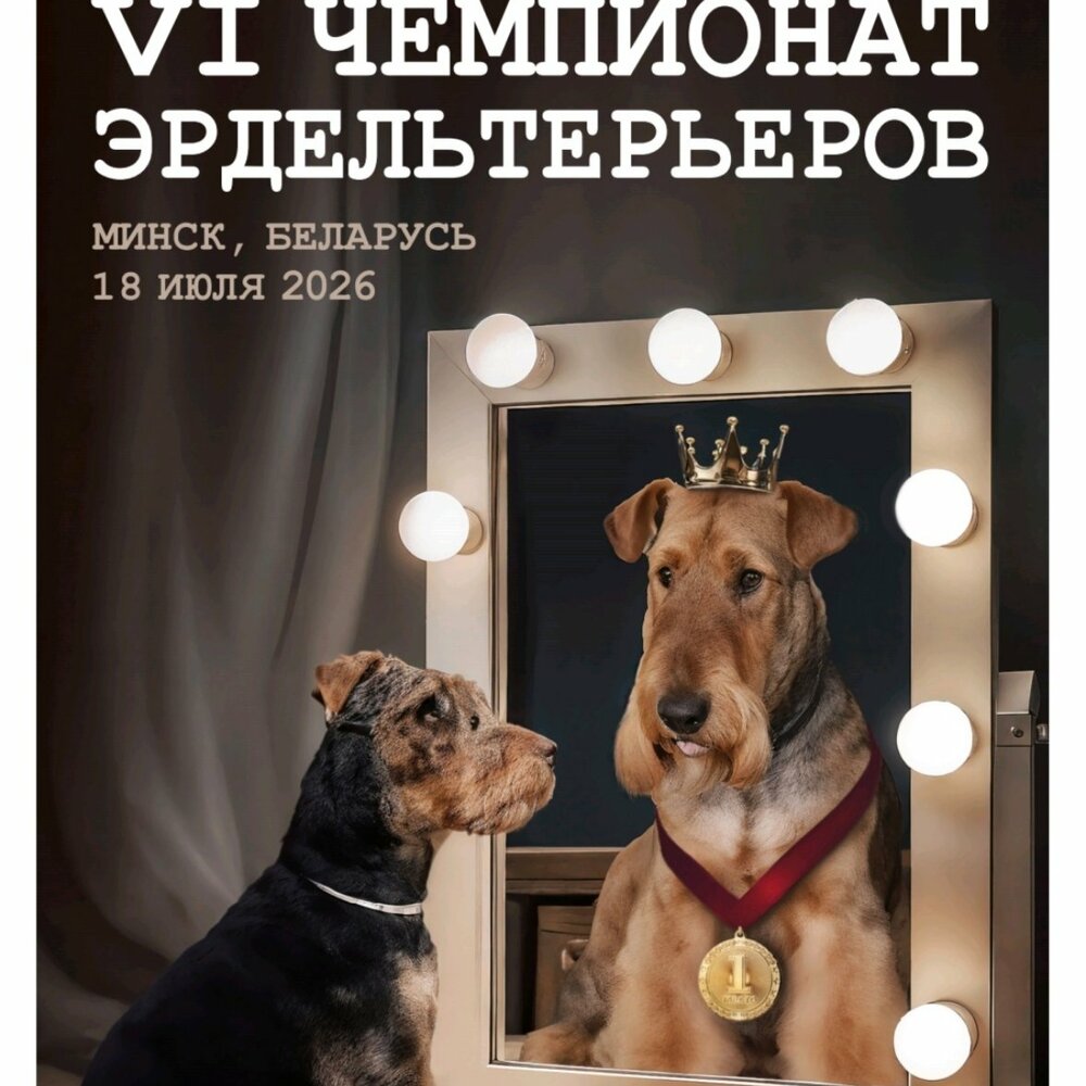 Чемпионат по породе Эрдельтерьер