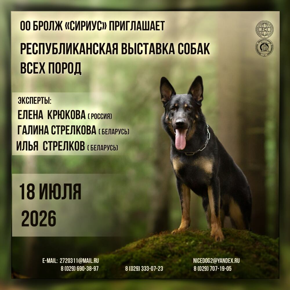 Республиканская выставка собак всех пород