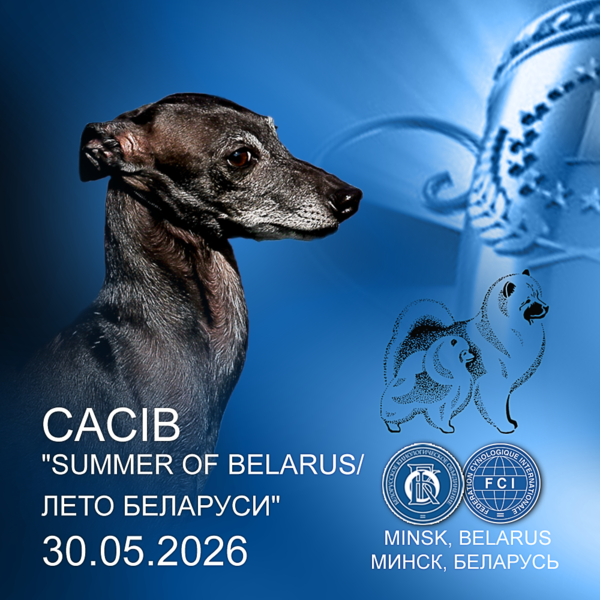 Международная выставка собак (CACIB)