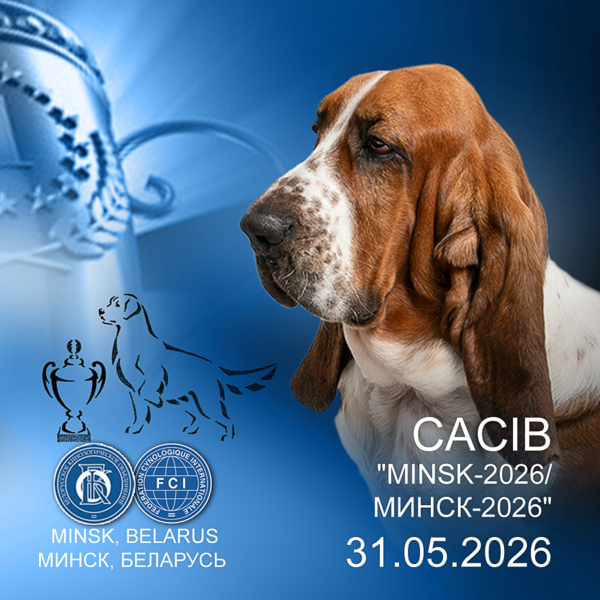 Международная выставка собак (CACIB)