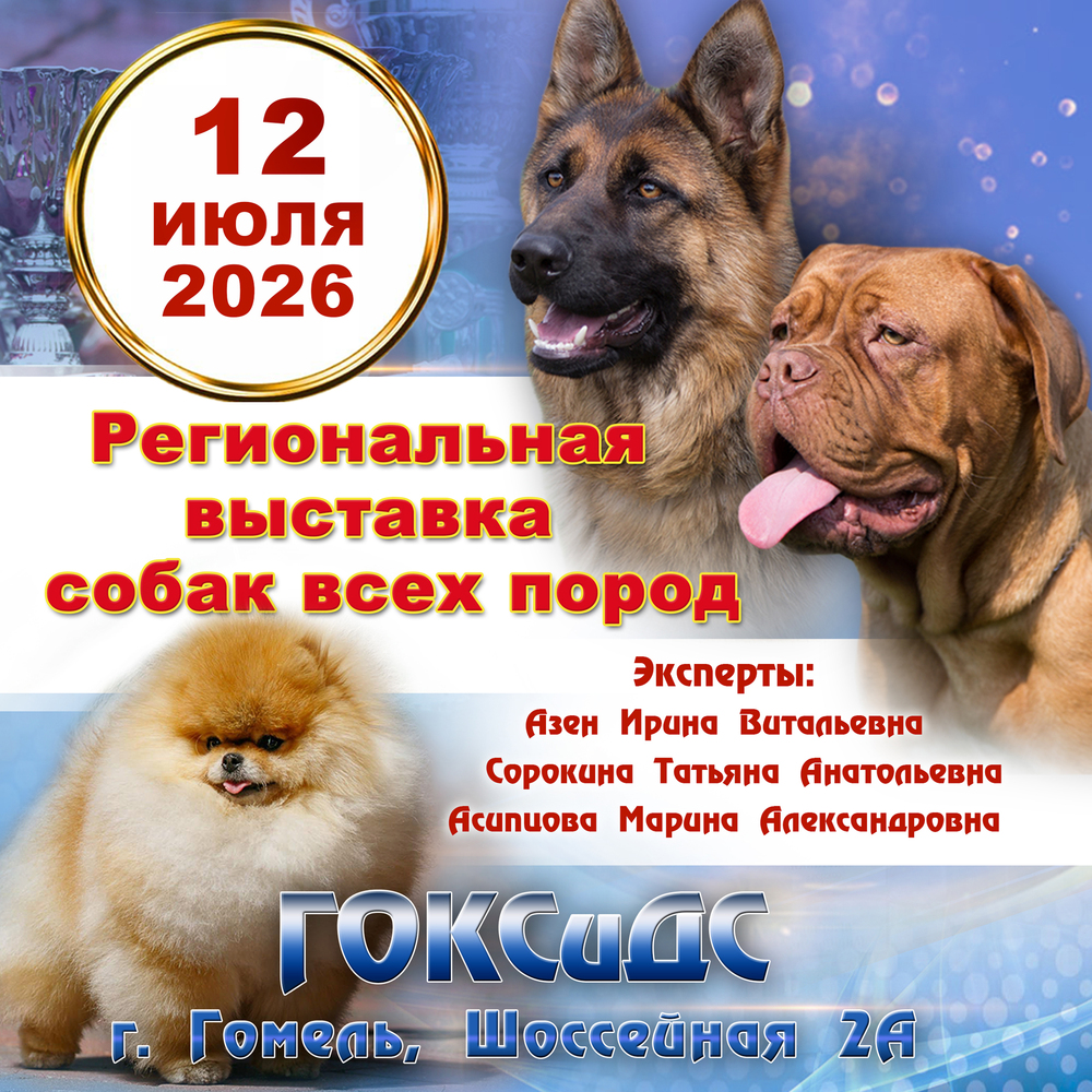 Региональная выставка собак всех пород
