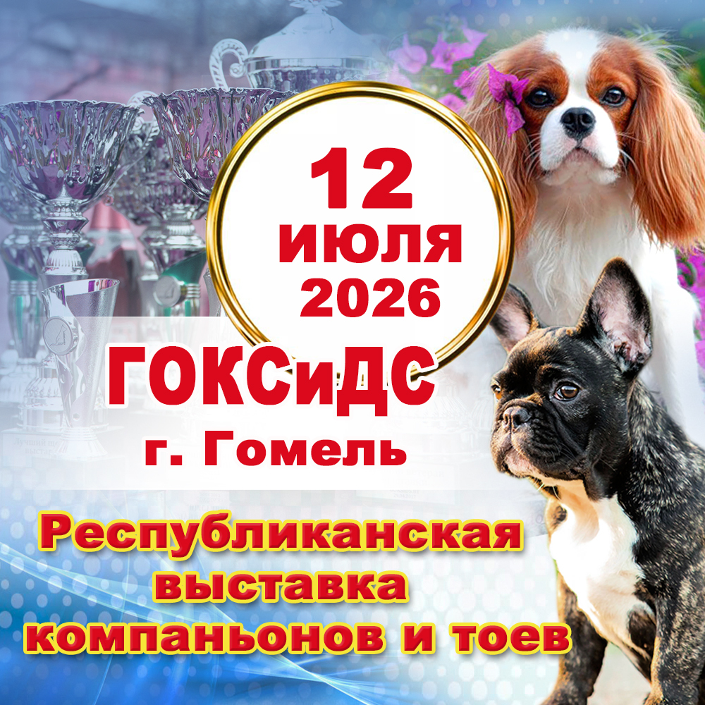 Республиканская выставка компаньонов и тоев