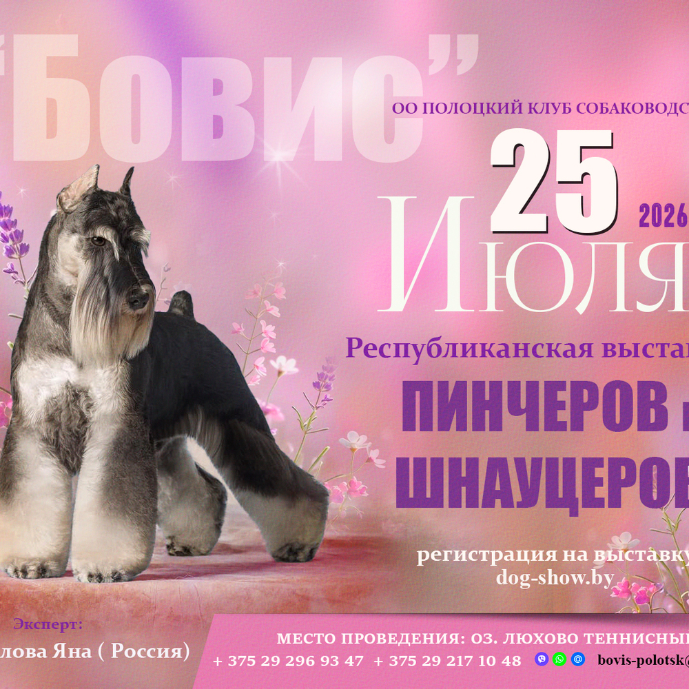 Республиканская выставка пинчеров и шнауцеров