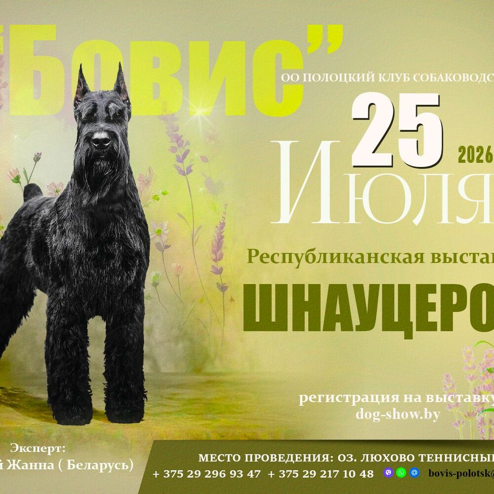 Республиканская выставка шнауцеров