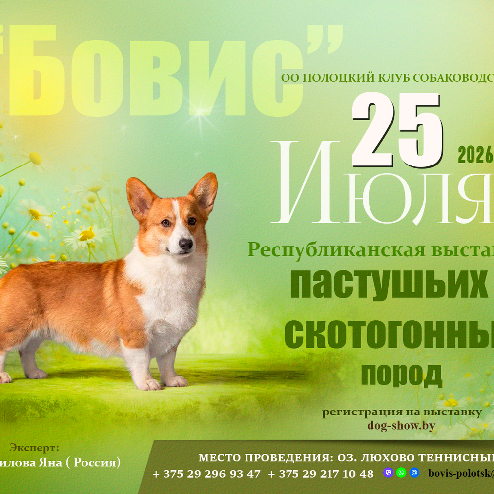 Республиканская выставка пастушьих и скотогонных пород