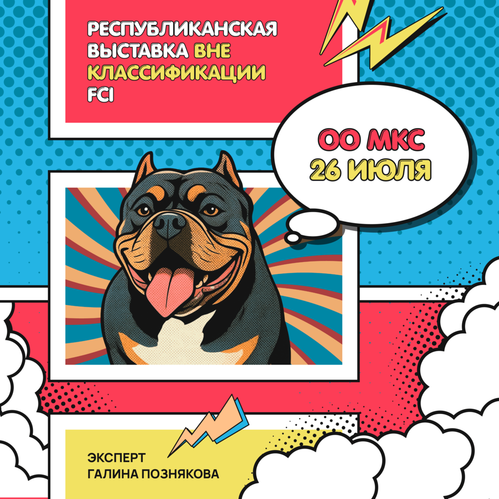 Республиканская выставка ВНЕ КЛАССИФИКАЦИИ ФЦИ