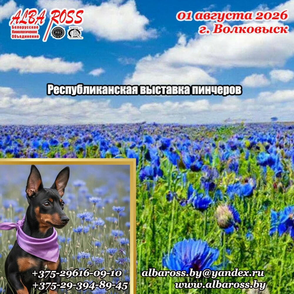Республиканская выставка пинчеров