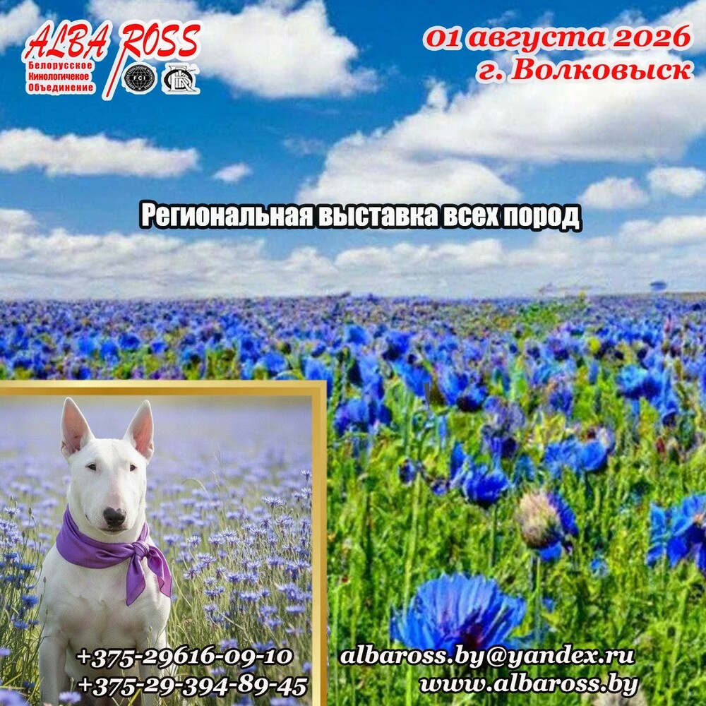 Региональная выставка всех пород «Кубок Волковыска - 2026»
