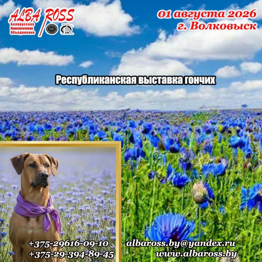 Республиканская выставка гончих