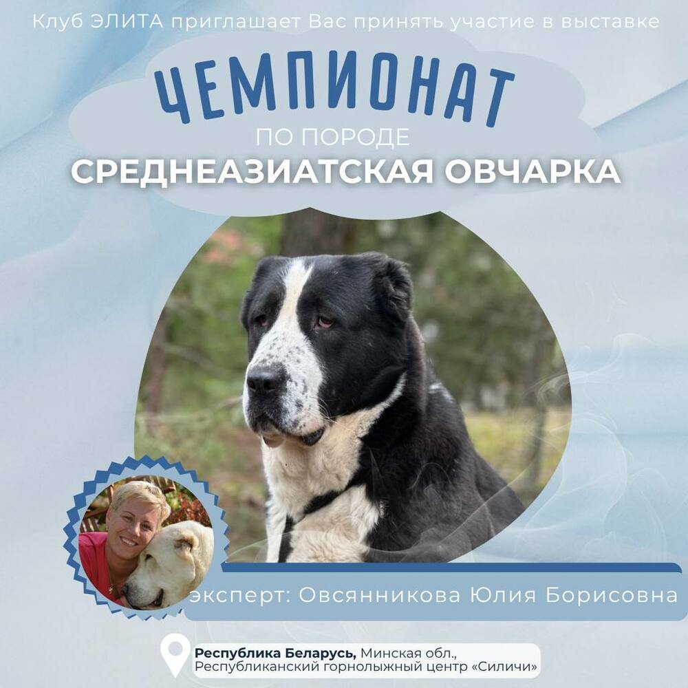 Чемпионат по породе Среднеазиатская овчарка
