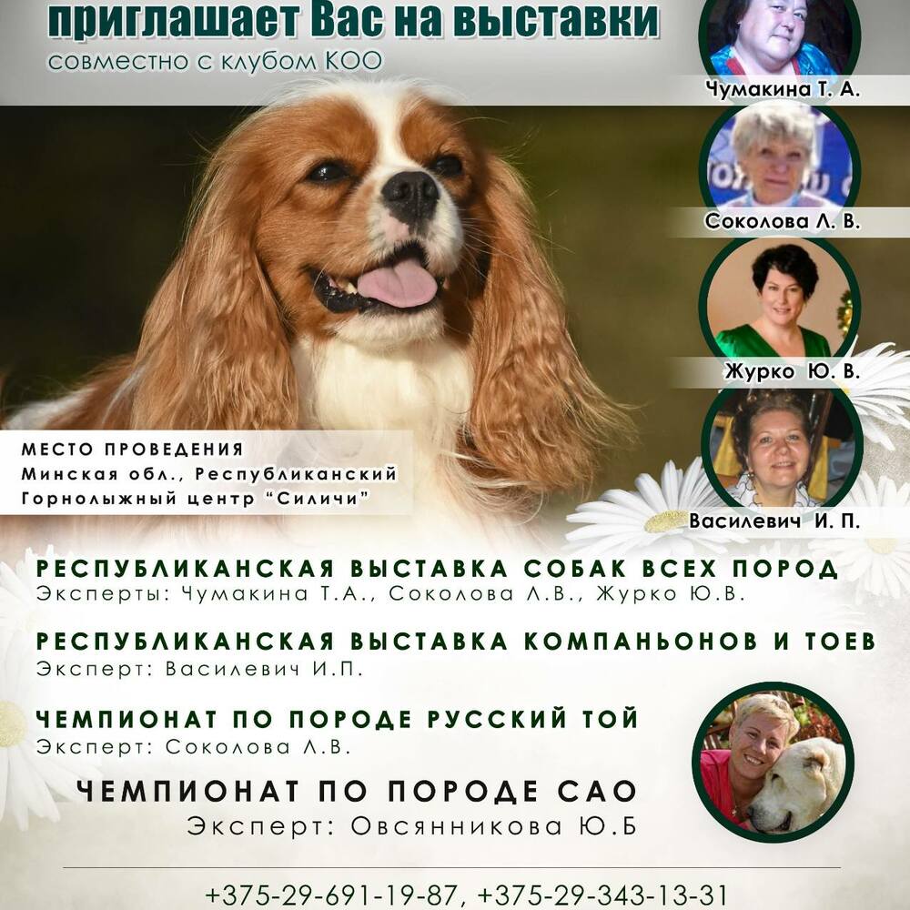 Республиканская выставка всех пород