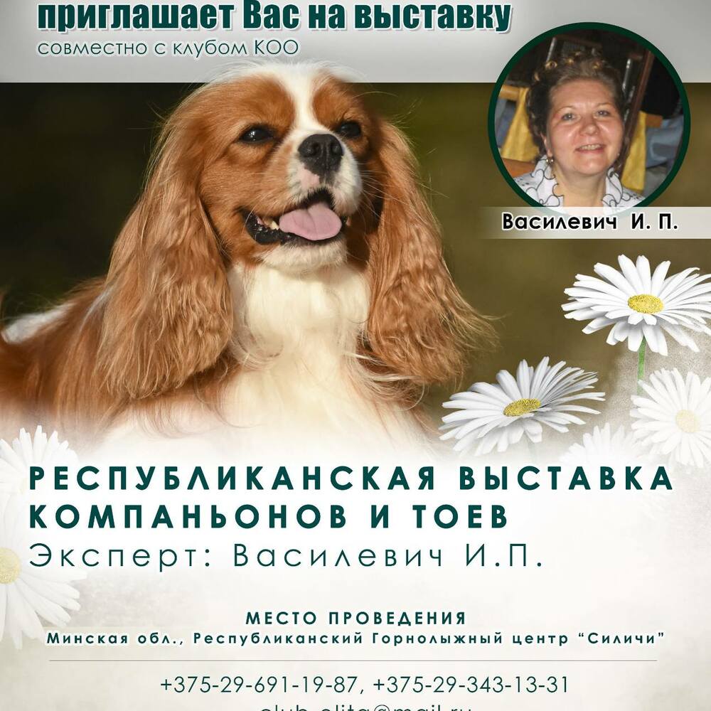 Республиканская выставка компаньонов и тоев